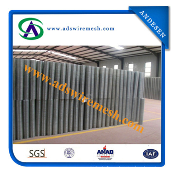 Galvanized / PVC Coated Welded Wire Mesh (20years factory & ISO9001 Approved)